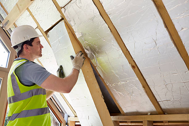 Best Residential Insulation in Shackle Island, TN